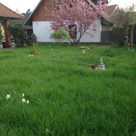 Haus Spreewaldimkerei Holiday home