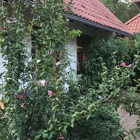 Haus Spreewaldimkerei Holiday home Eichow